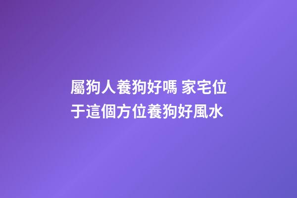屬狗人養狗好嗎 家宅位于這個方位養狗好風水